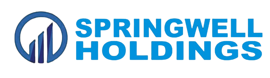 Spring Well Holdings  
